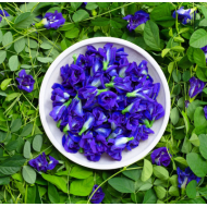 Organic Butterfly Pea Flowers Organic Butterfly Pea Flowers